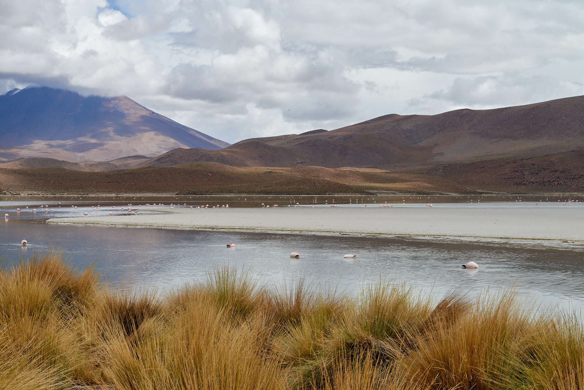 20200313 464 [볼리비아] 온다 호수